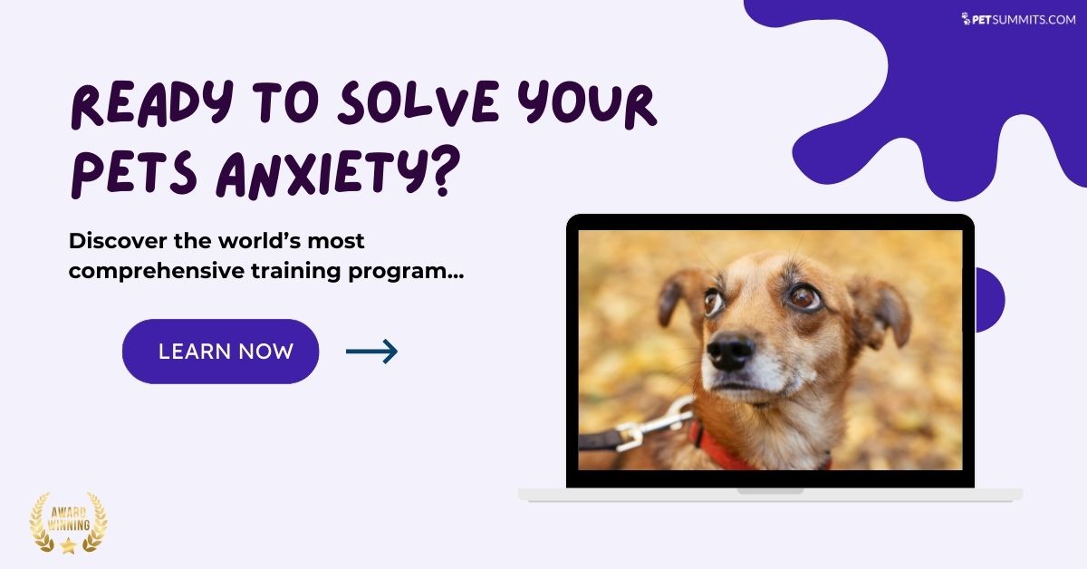 Anxiety-article-ads