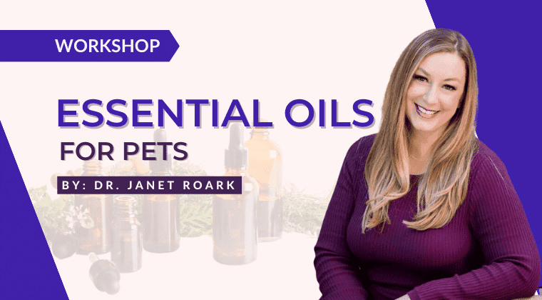 ESW-img (1) Essential Oils For Pets Workshop by Dr Janet Roark
