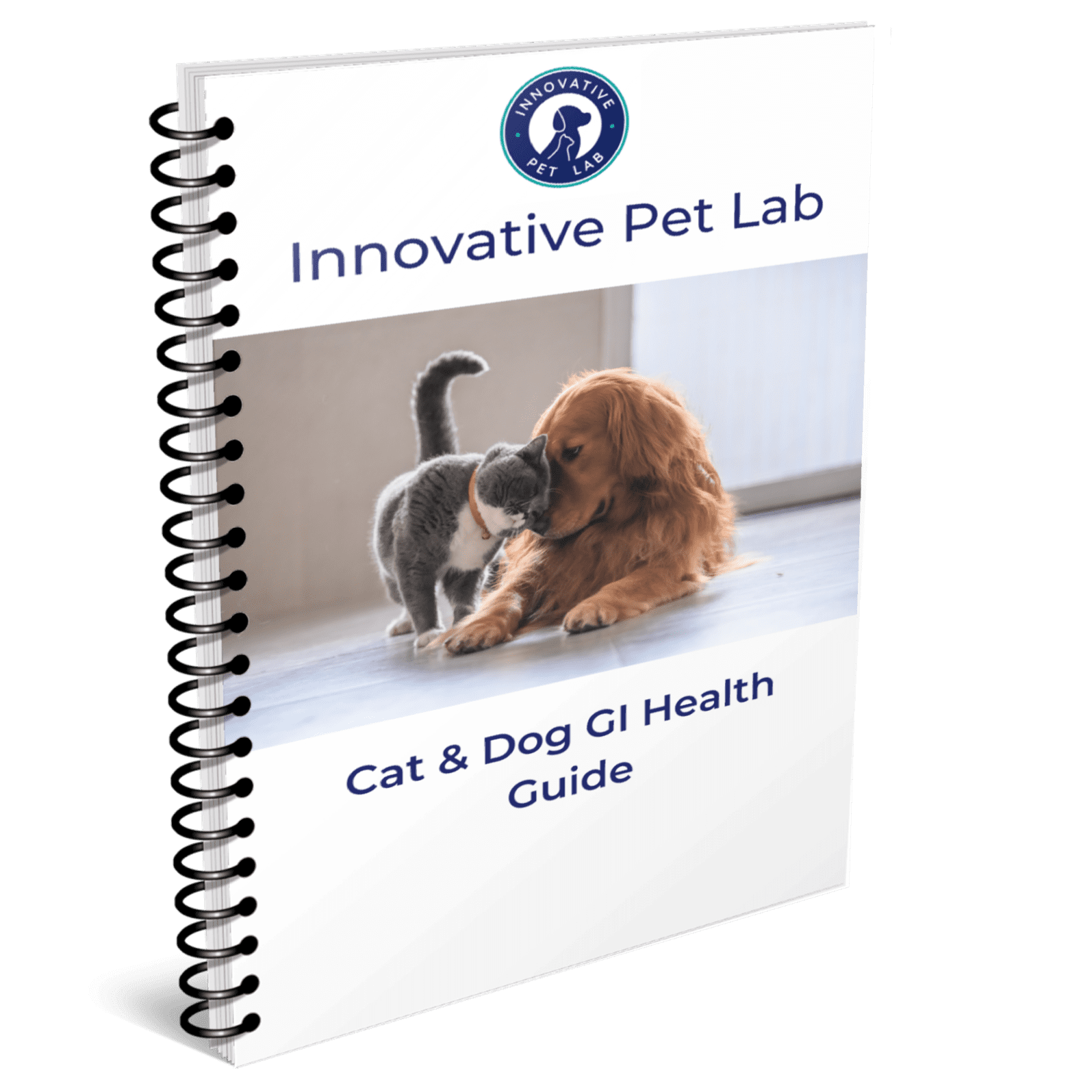 innovative-free-gift-ebook-cover