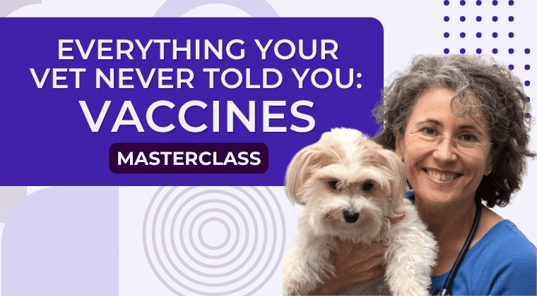 everything-your-vet-thinkific-img (1) Everything Your Vet Never Told You Vaccines by Dr Odette Suter