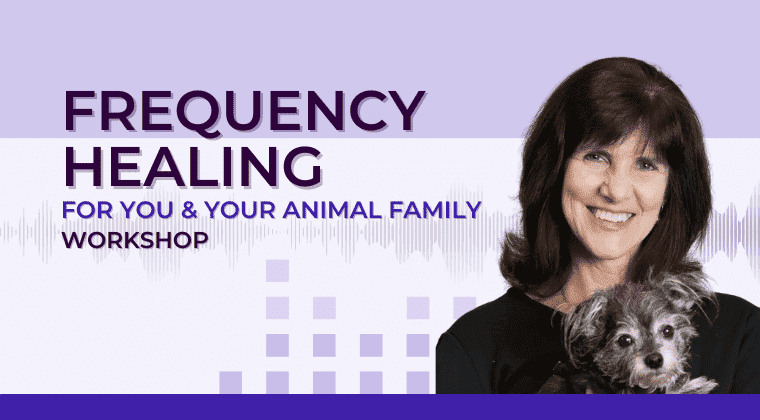 frequency healing thinkific img (1) Frequency Healing For You And Your Animal Family Workshop