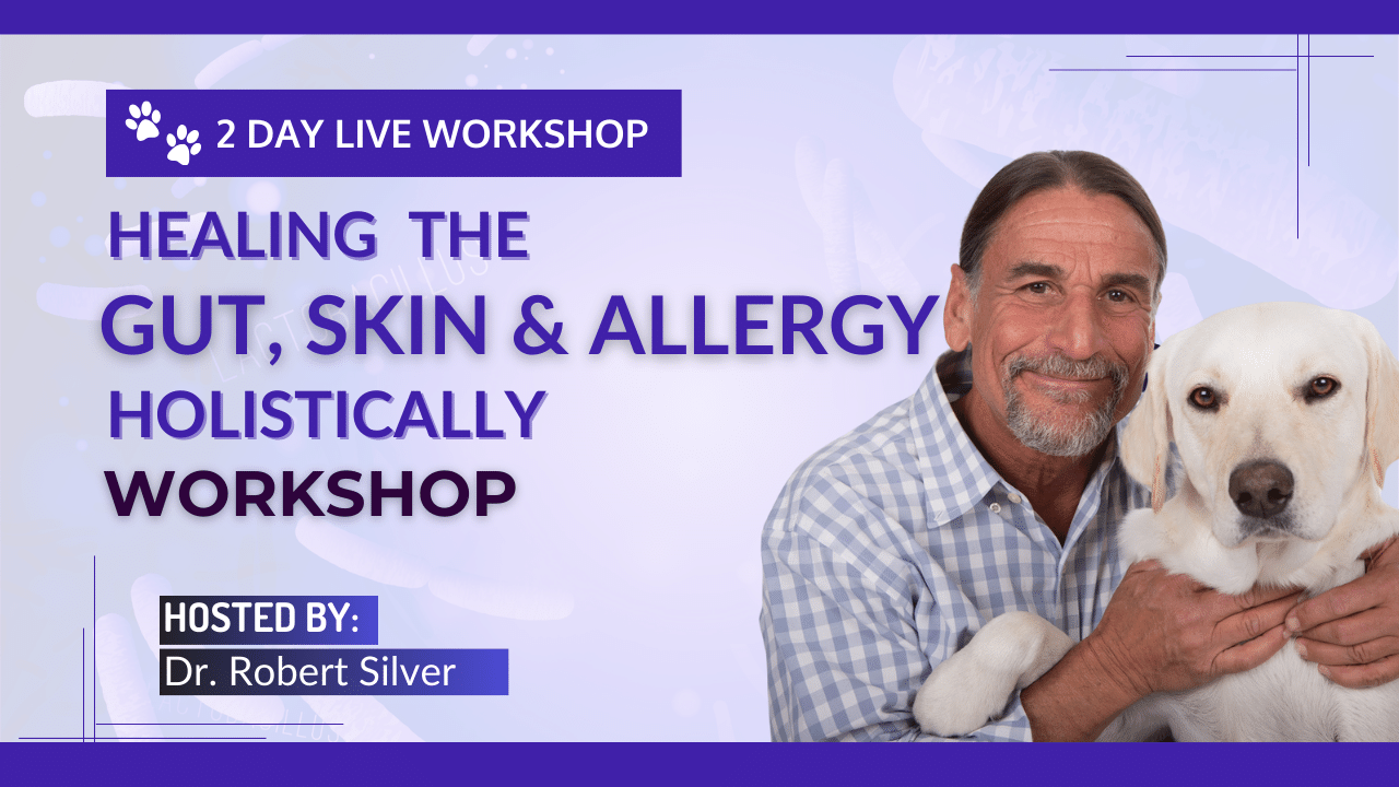 gut-skin-allergy-Workshop images (1280 x 720 px) (1)