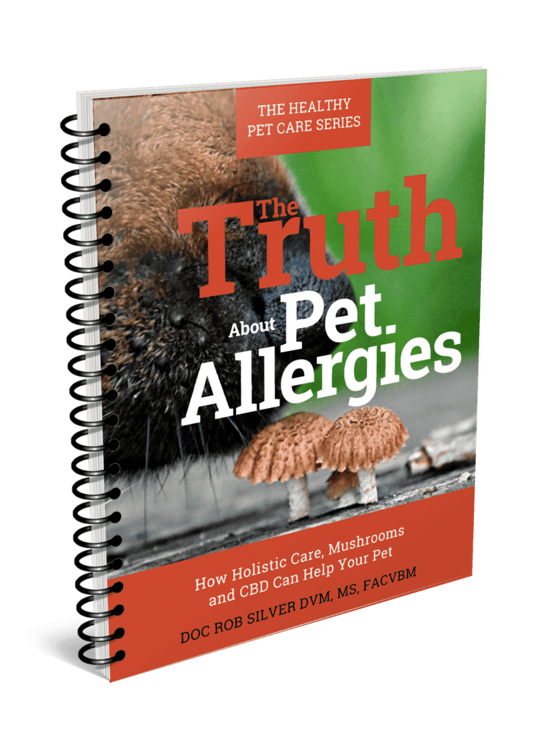 the-truth-about-pet-allergy