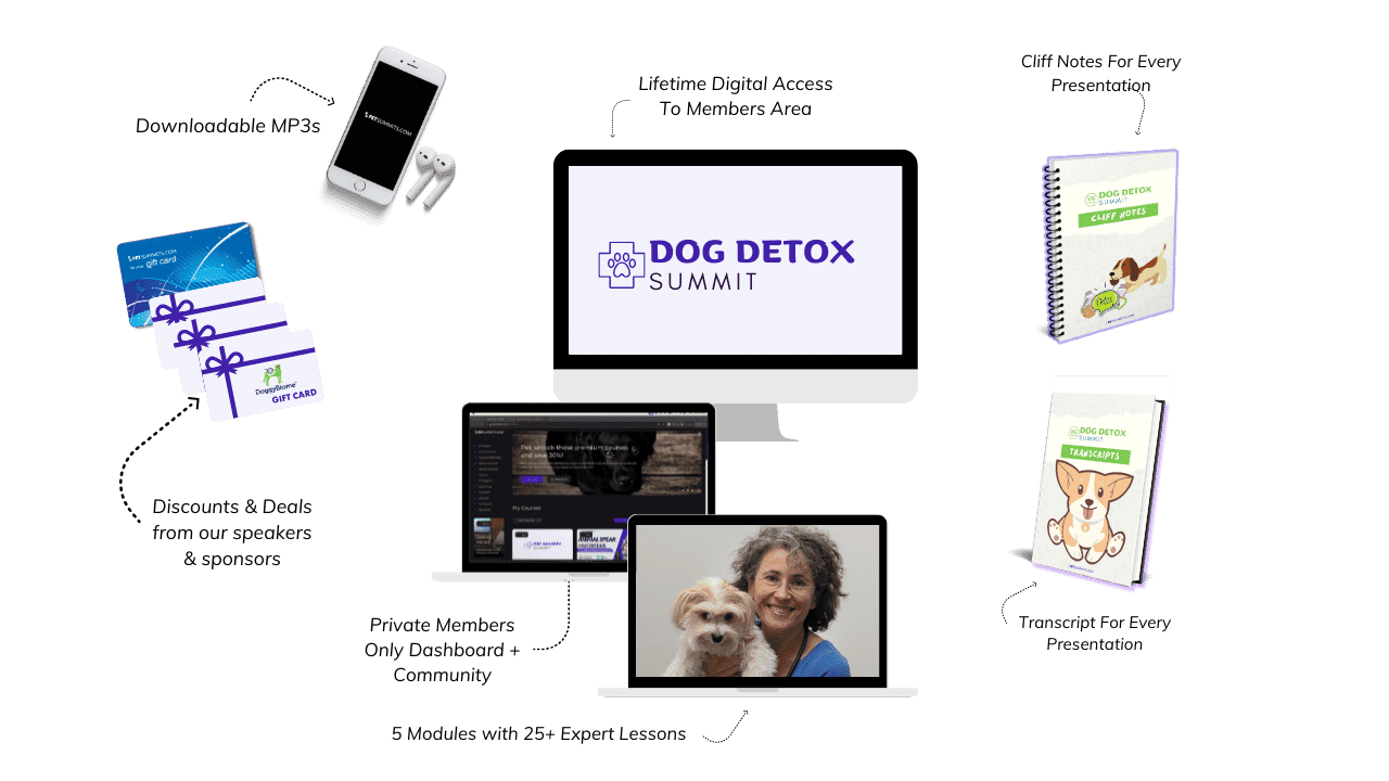 dog-gut-health-offer-images-w-description-recatngle (1)