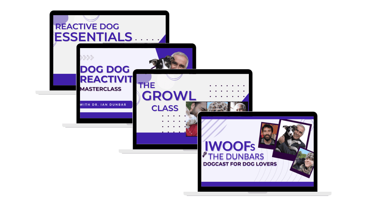 reactive-dog-toolkit-4-core-courses