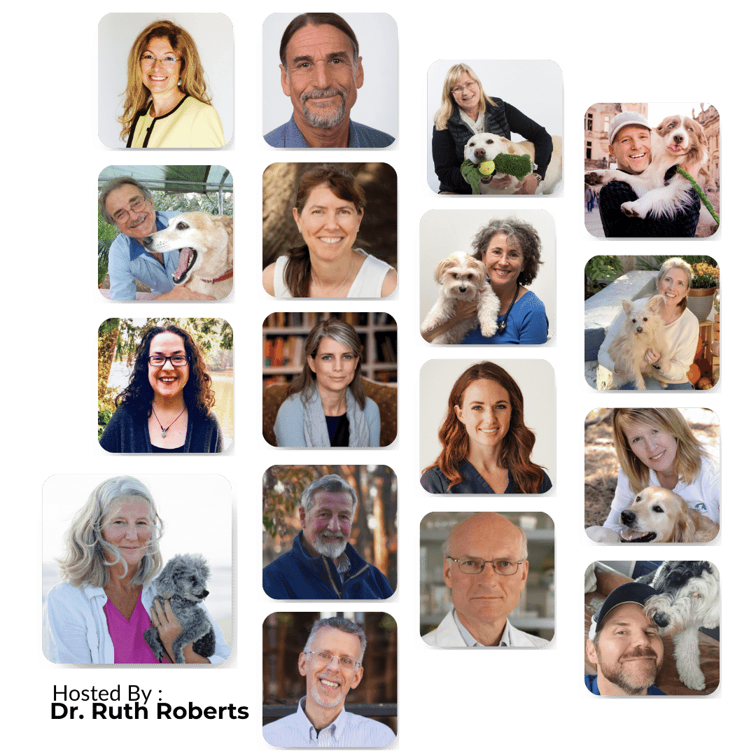 Holistic_Dog_Care_speaker-tiles-3-1