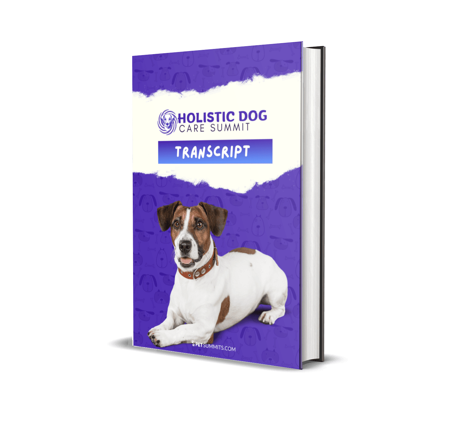 holistic-2-transcript-book-cover