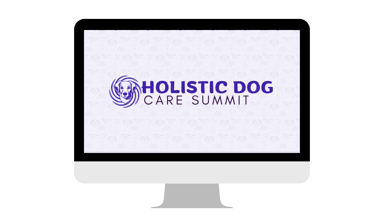 holistic-2.0-offer-presentaioimg-1