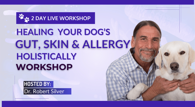 Workshop-images-760-x-420-px-1