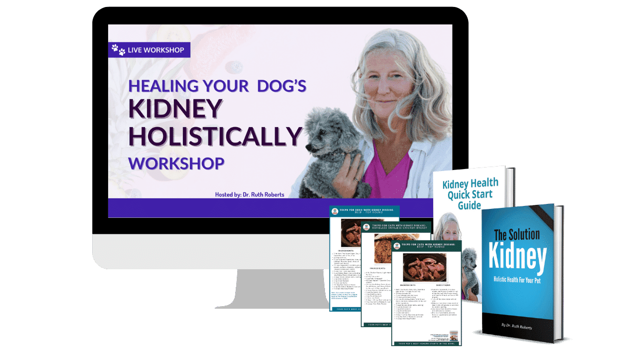 healing-your-kidneys-cover-1