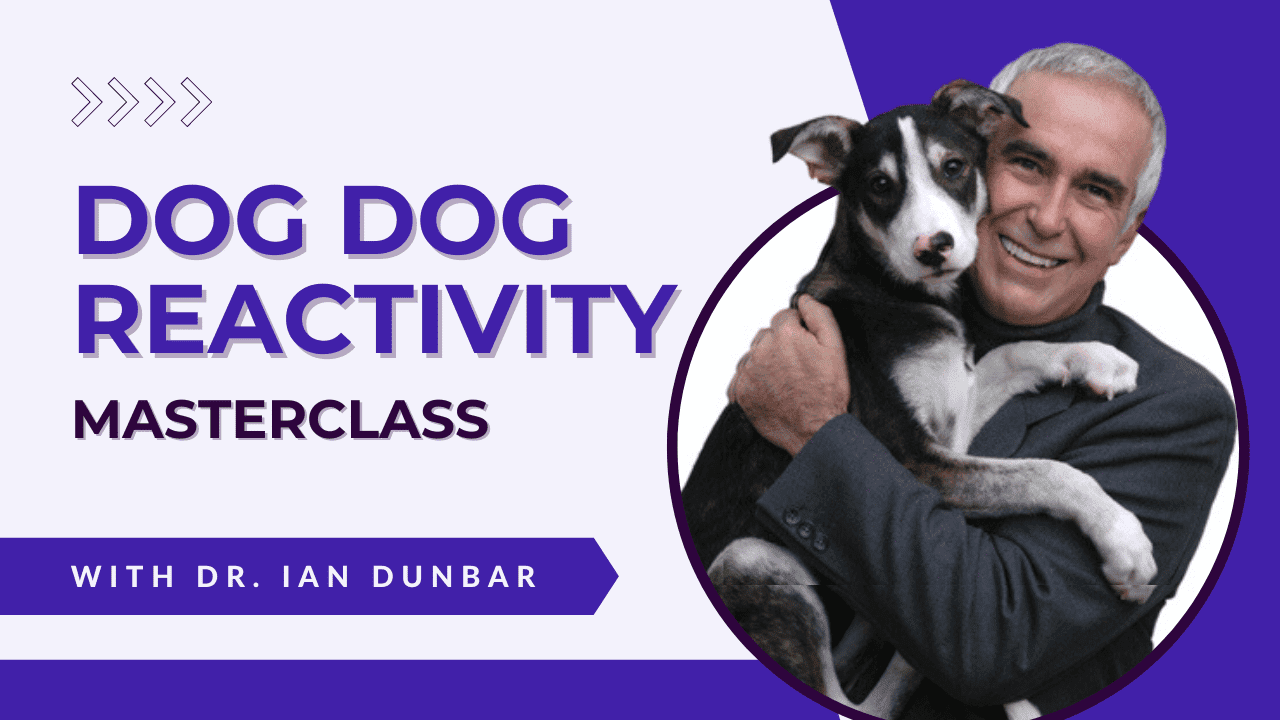 Dog Dog Reactivity Masterclass by Dr. Ian Dunbar Pet Summits
