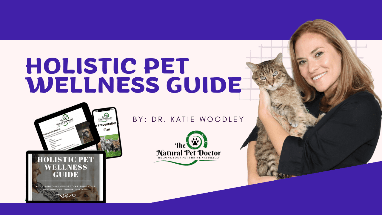 holistic-pet-guide-katie-img