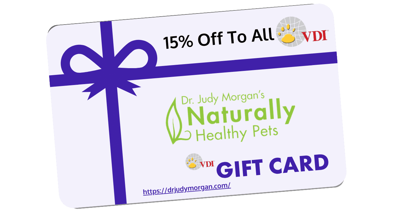 judy-vdi-giftcard-1