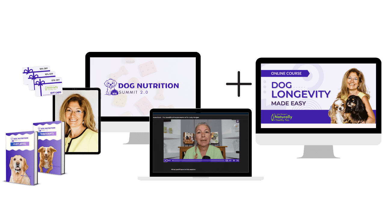 nutrition-dig-longevity-img