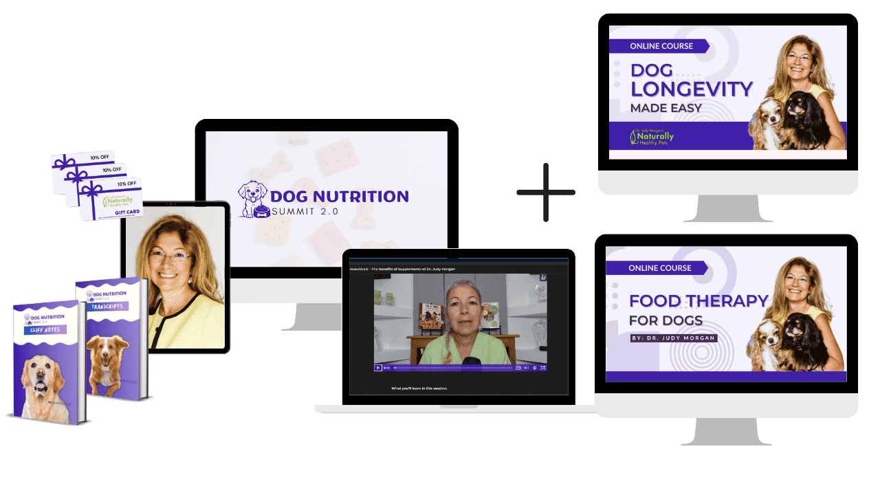 nutrition-longevity-therapy-img