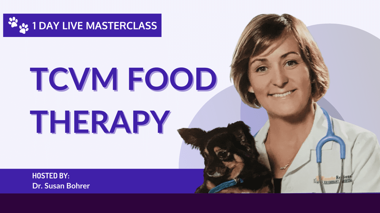 tcvm-masterclass-1