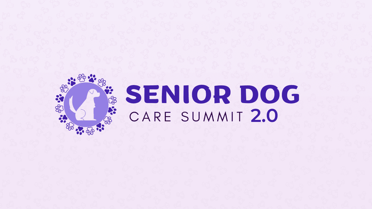 senior-dog-care-summit-2.0-main-1-1