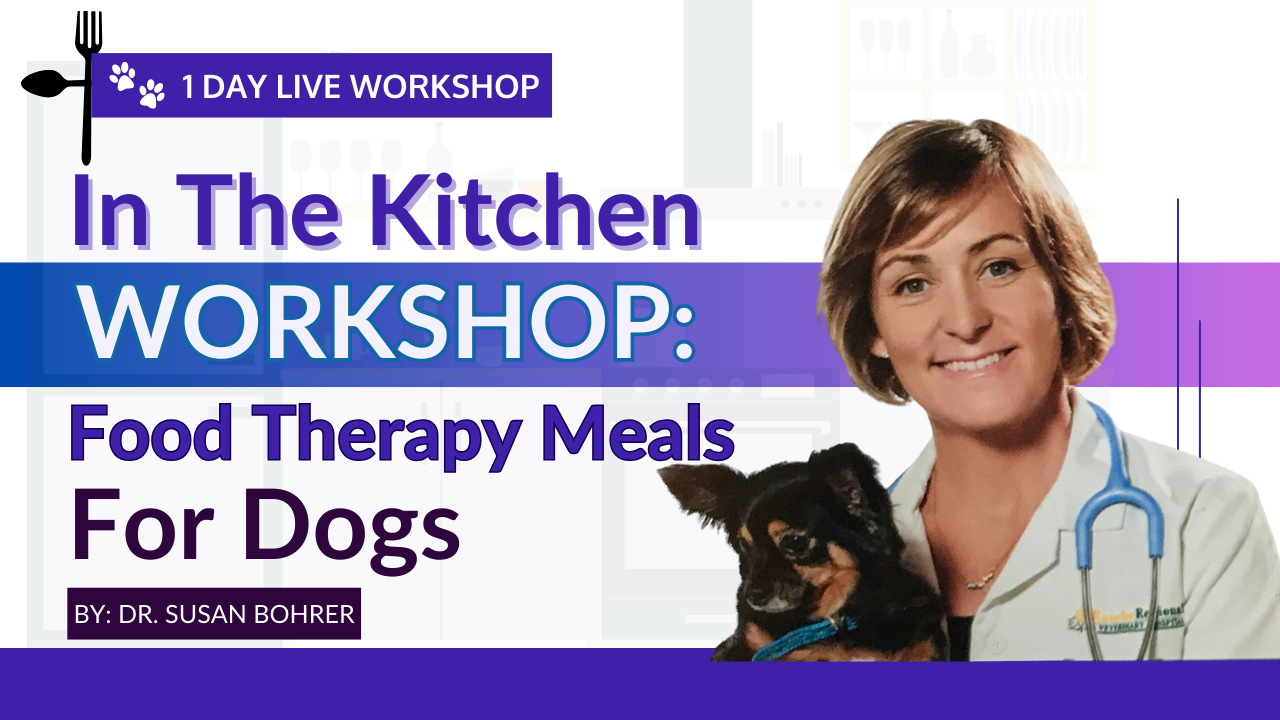 IN-THE-KITCHEN-WORKSHOP-2