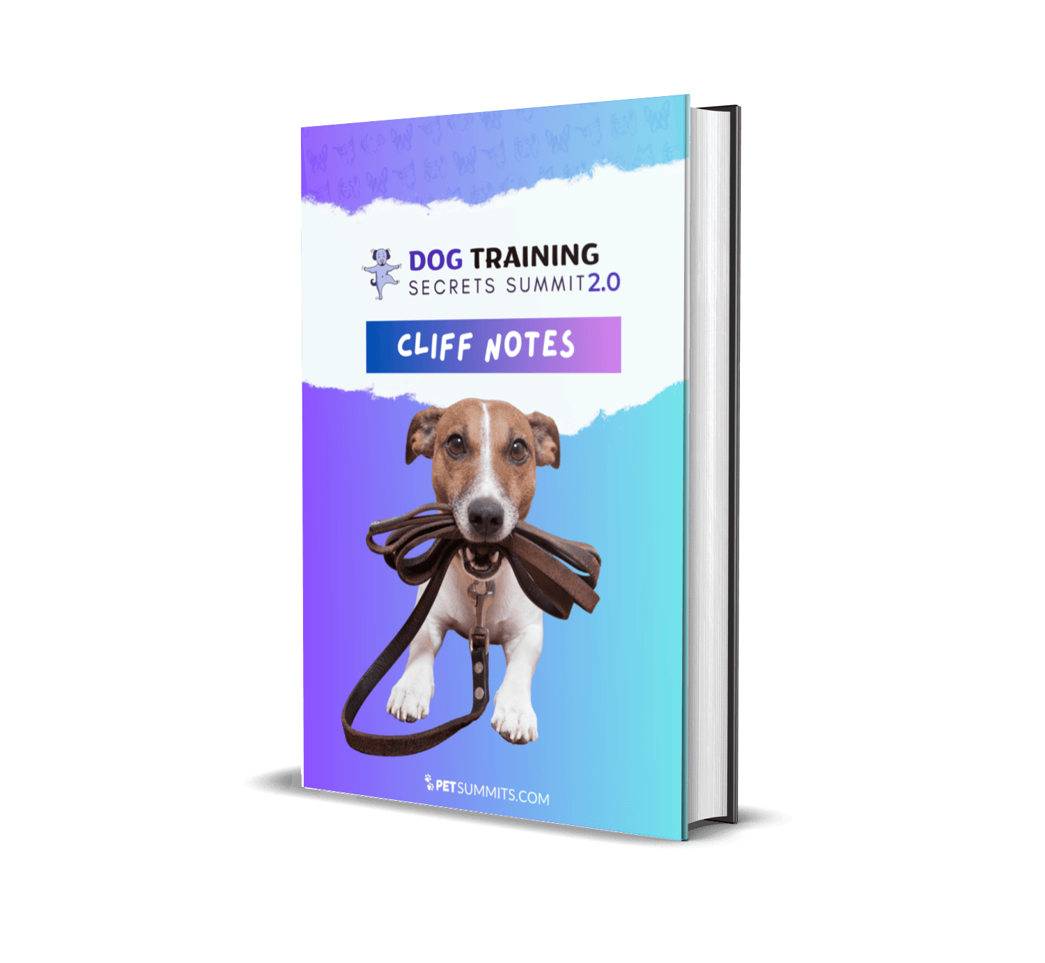 training-2-cliff-note-book-cover