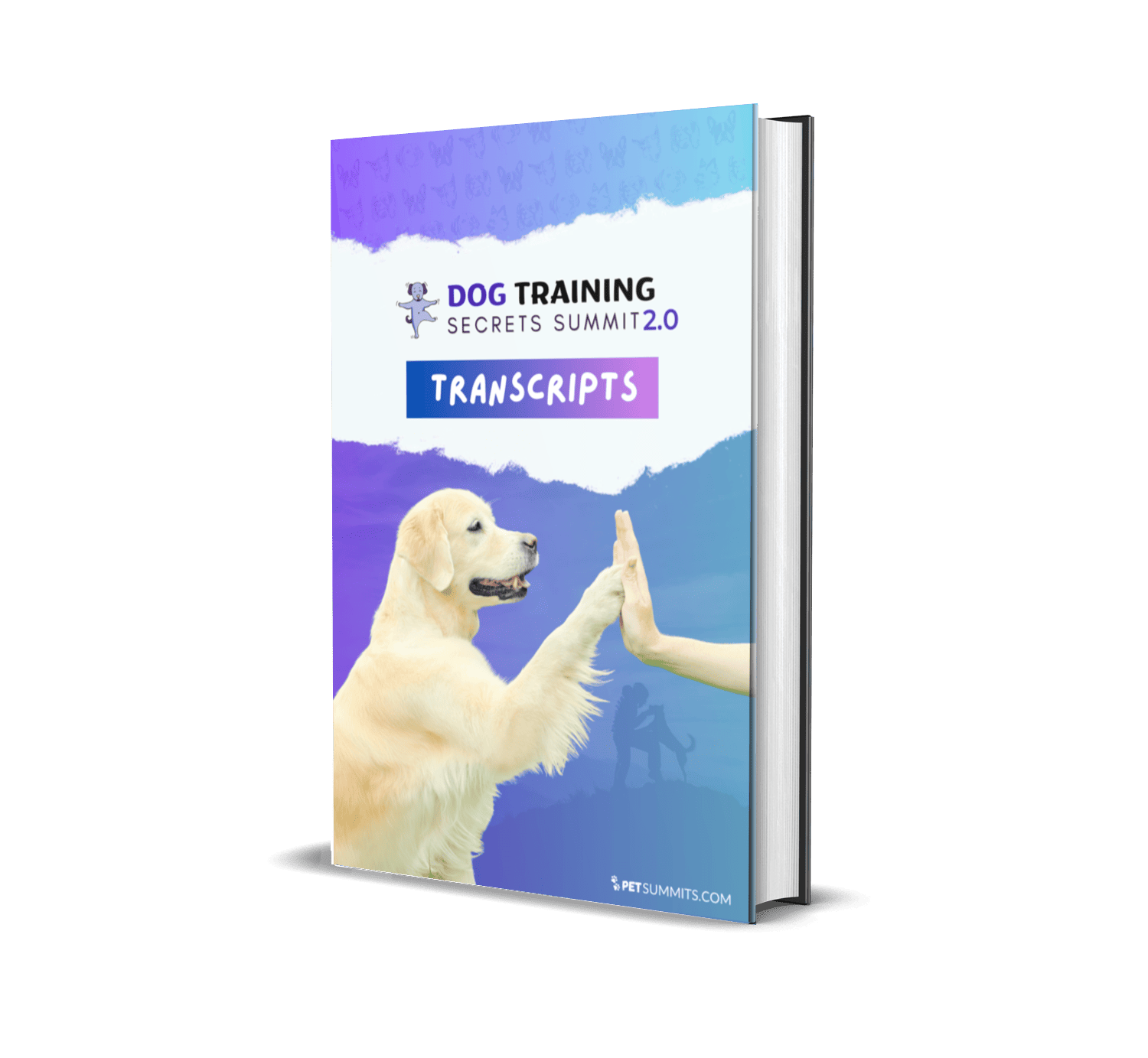 training-2-transcript-book-cover