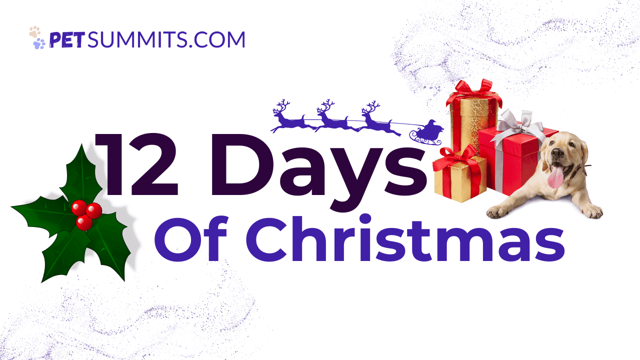 12-days-of-christmas-2-1