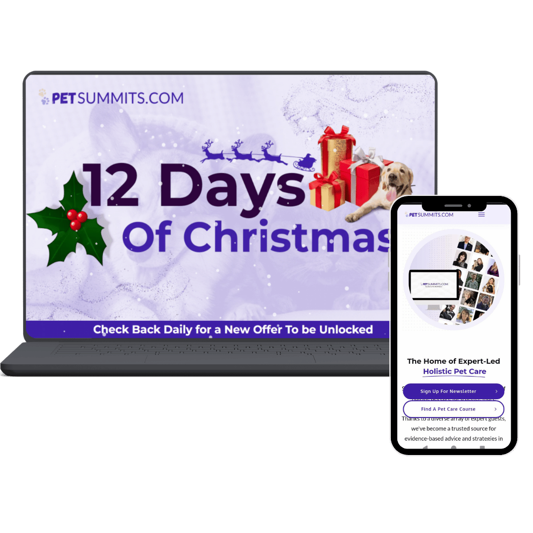 12days-logo-1