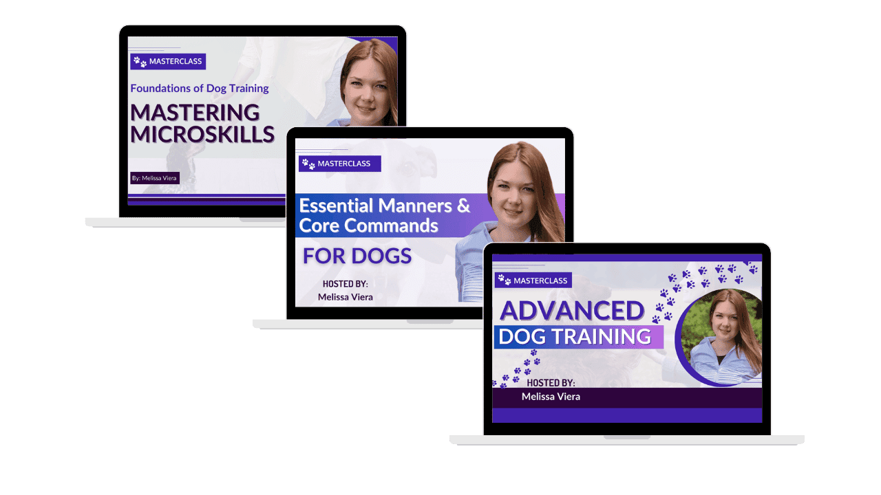 dog-training-blueprint-bundle-3-core-courses