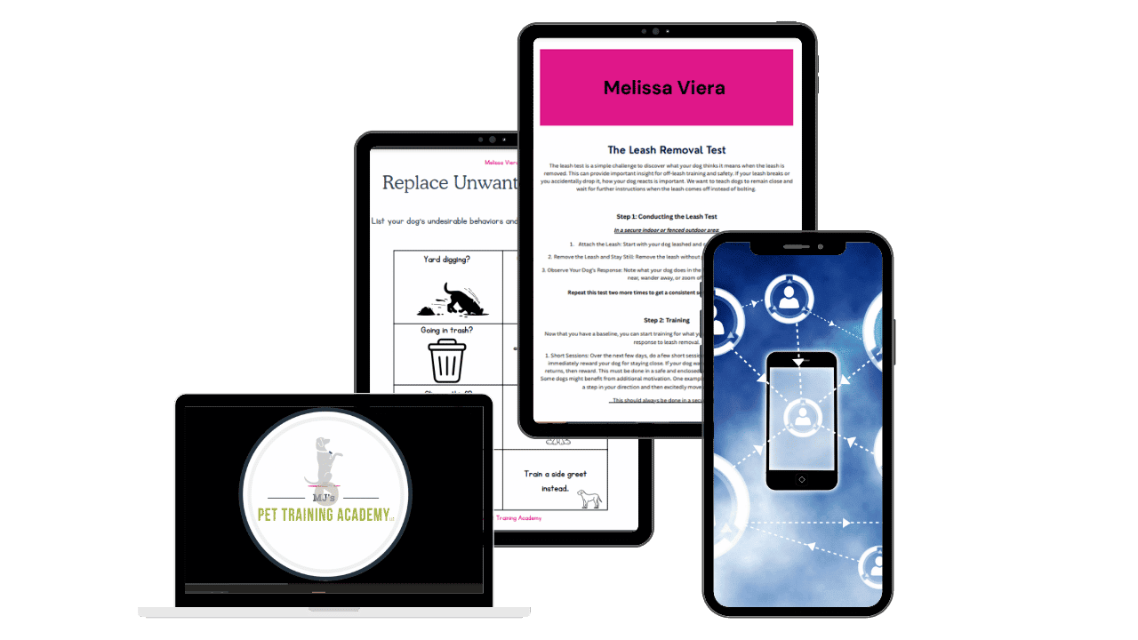 dog-training-blueprint-bundle-EXTRA-BONUS-GUIDES-RESOURCES