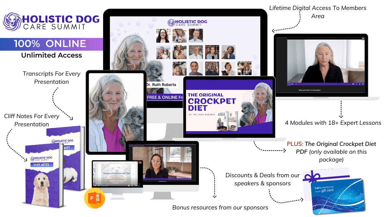 Holistic-Offer-Image-new-1