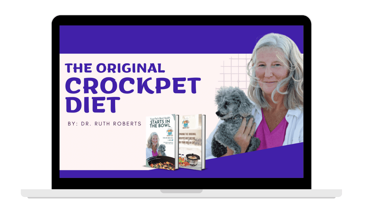 Original-crockpet-diet