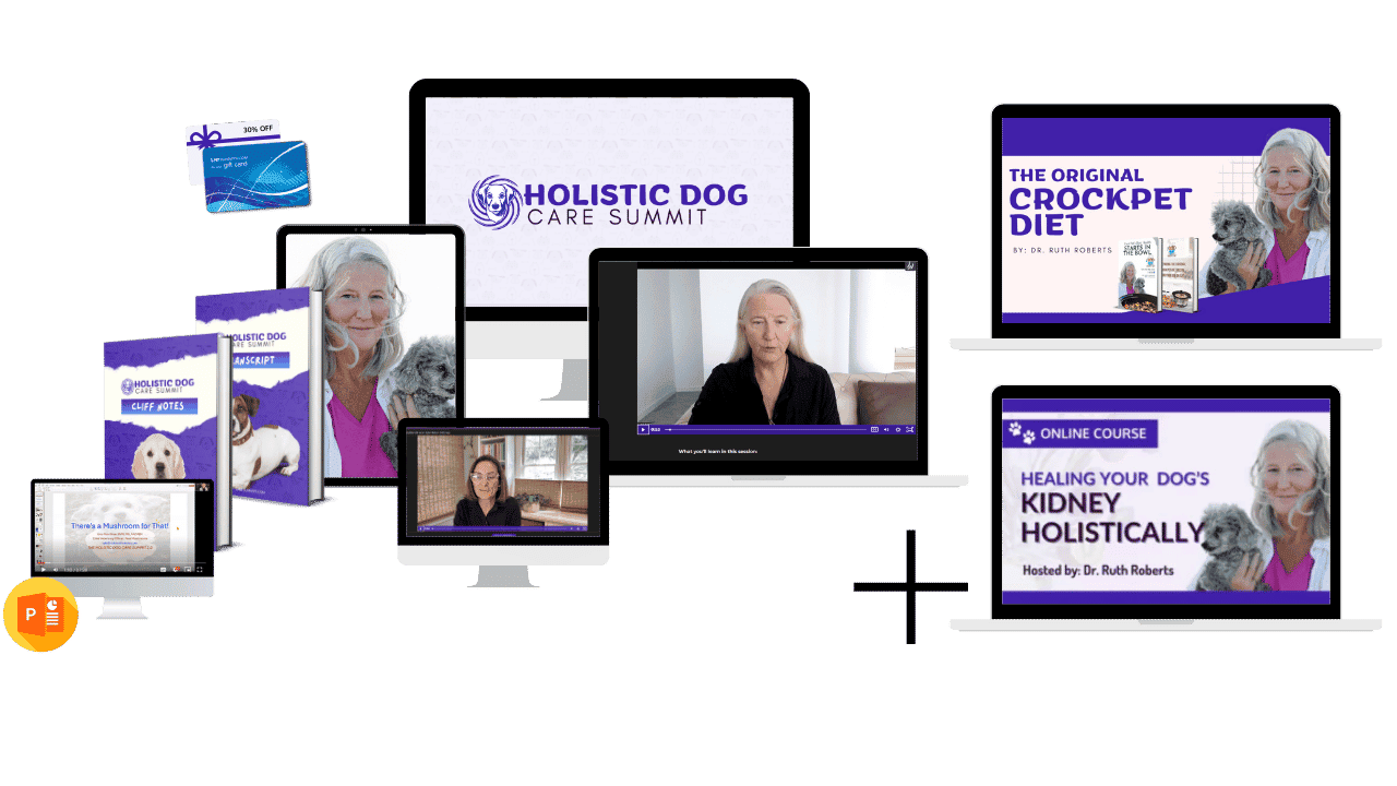 holistic-2025-all-inclusive-pack