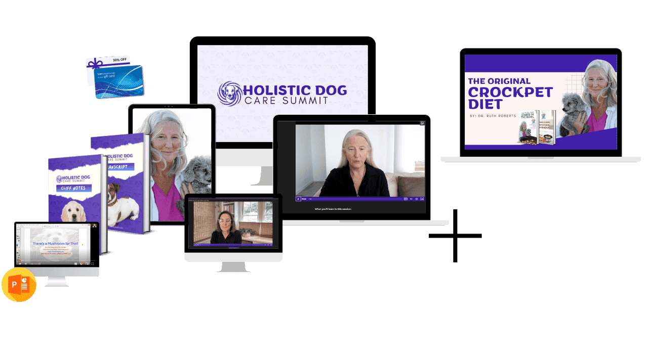 holistic-2025-comprehensive-pack
