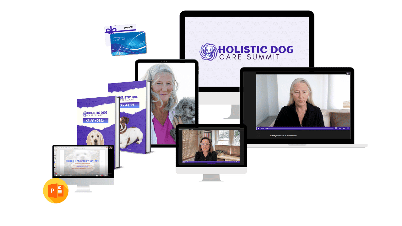 holistic-2025-core-pack