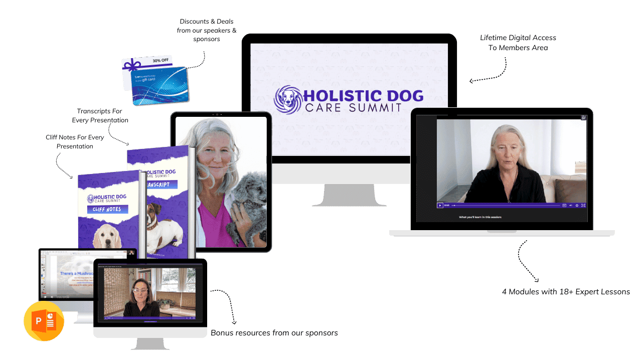holistic-2025-summit-full-details
