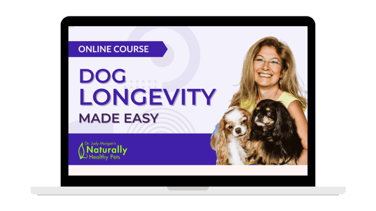 dog-longevity-image-offer