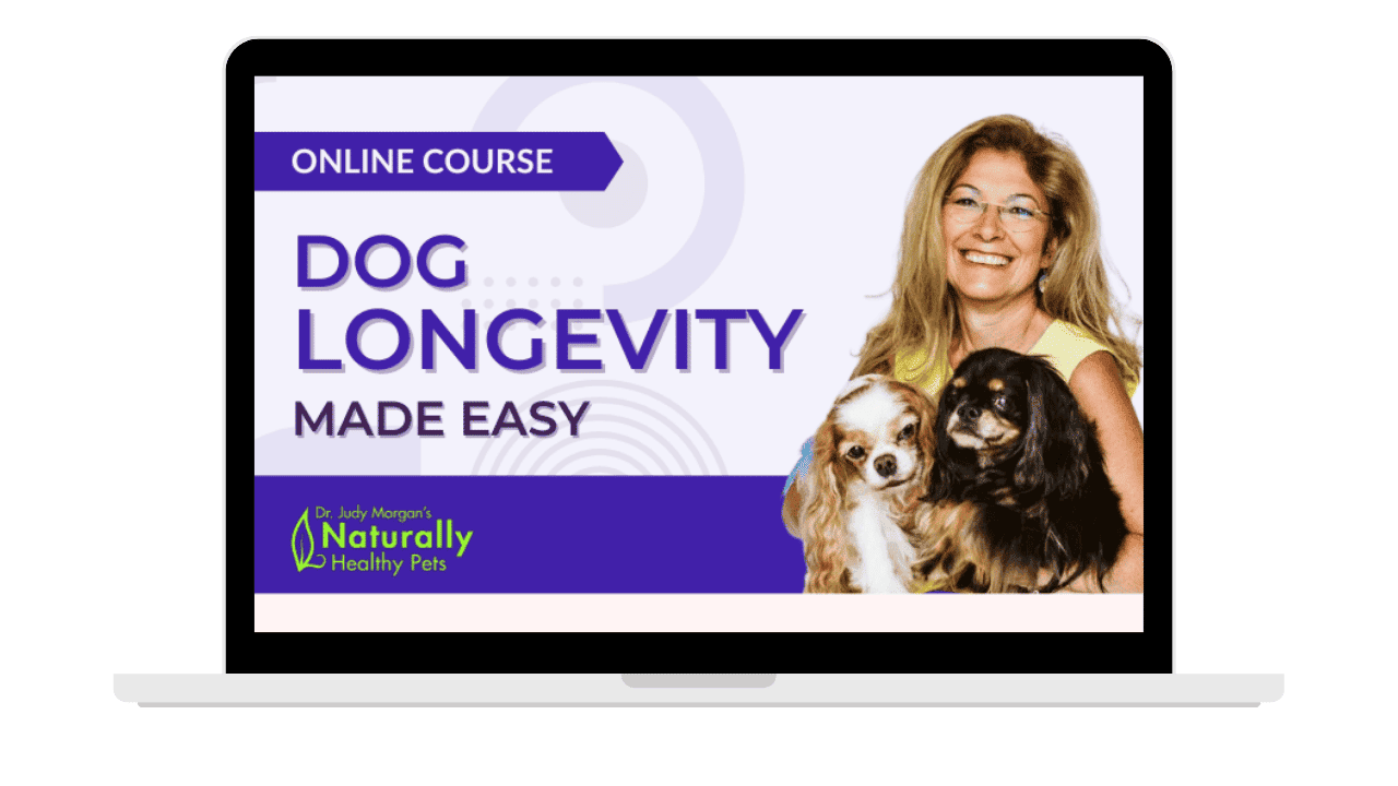 dong-longevity-image-offer