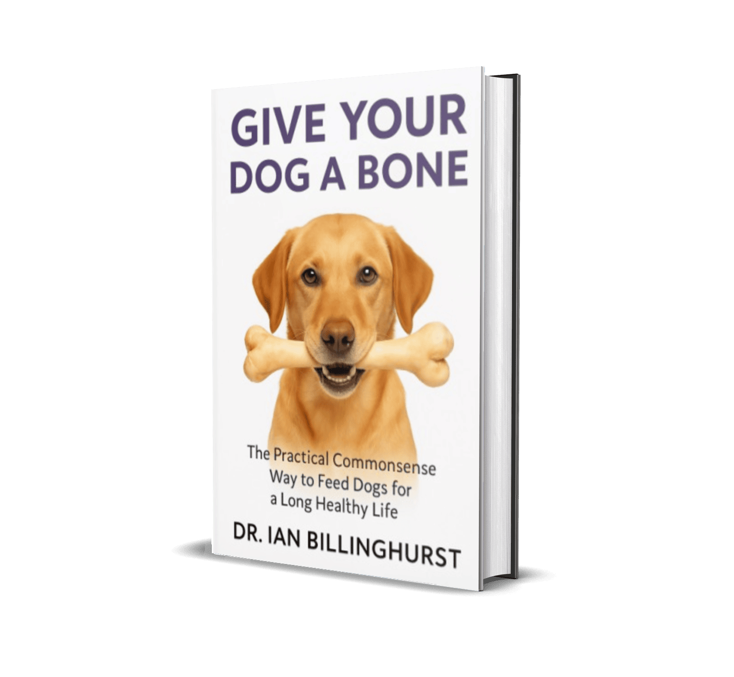 give-dog-bone-new-book-cover