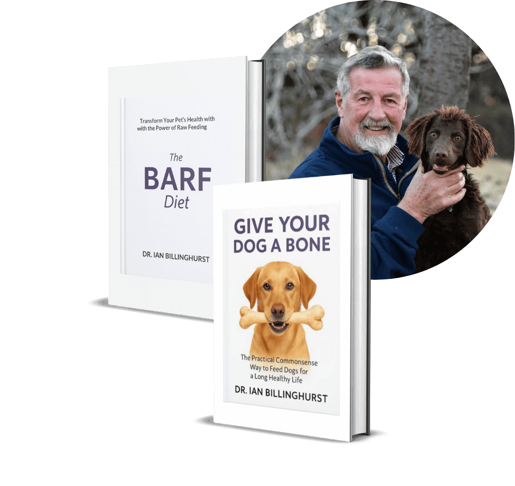 raw-ebook-bundle-square-img