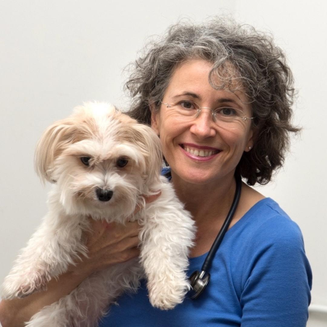 17.-Dr.-Odette-Suter