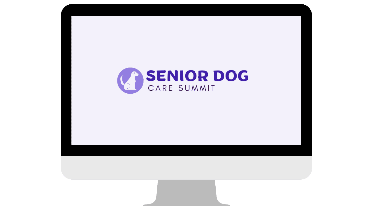 senior-2025-img-box