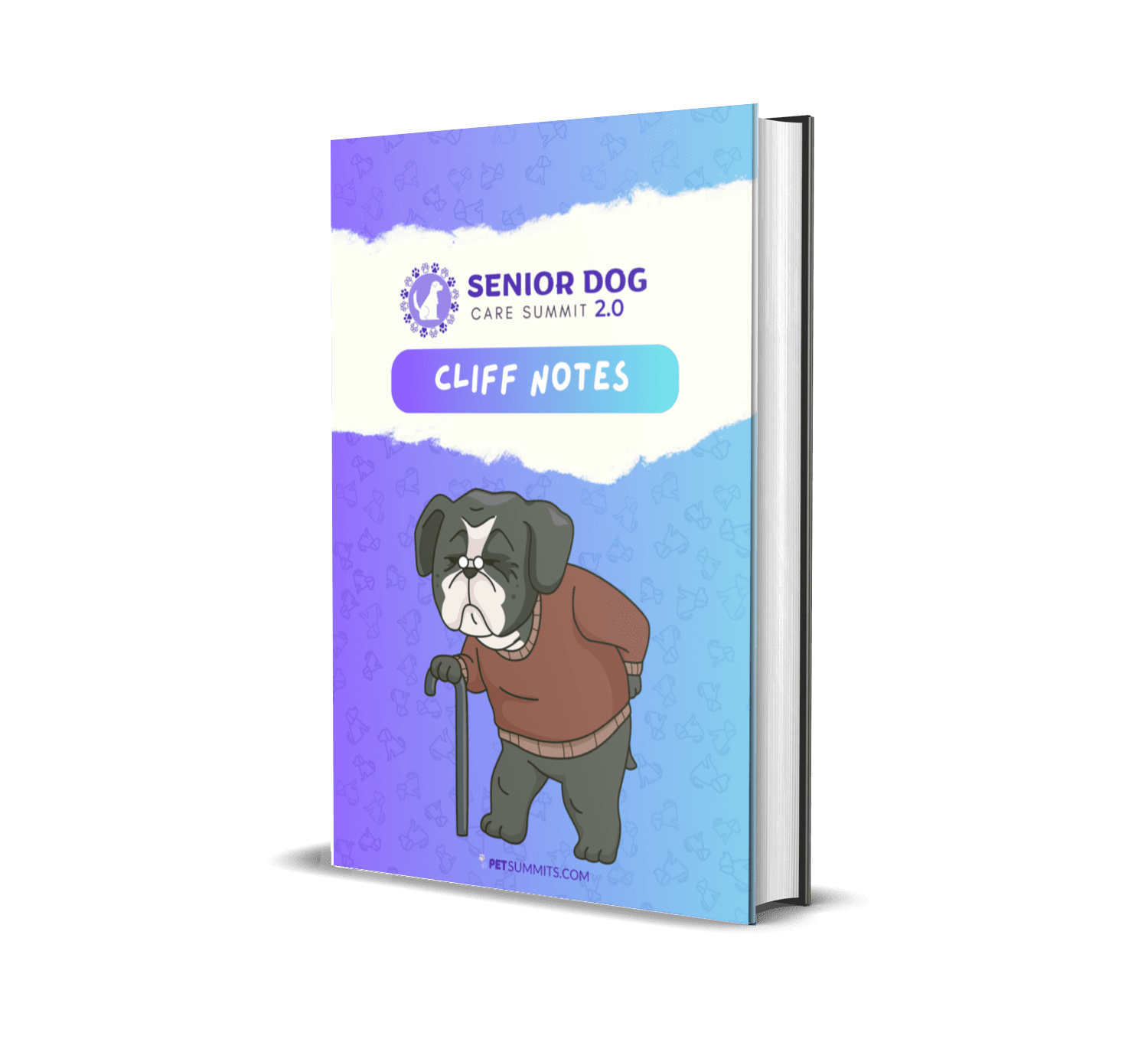 senior-dog-care-2-cliffnotes-1