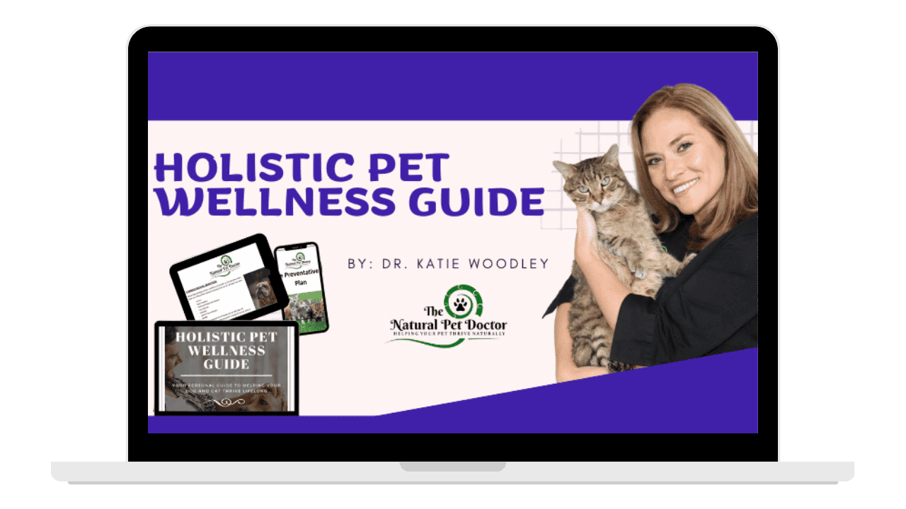 holistic-welness-guide-1