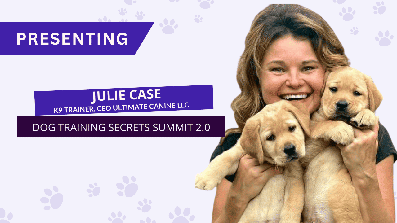 Julie-Case