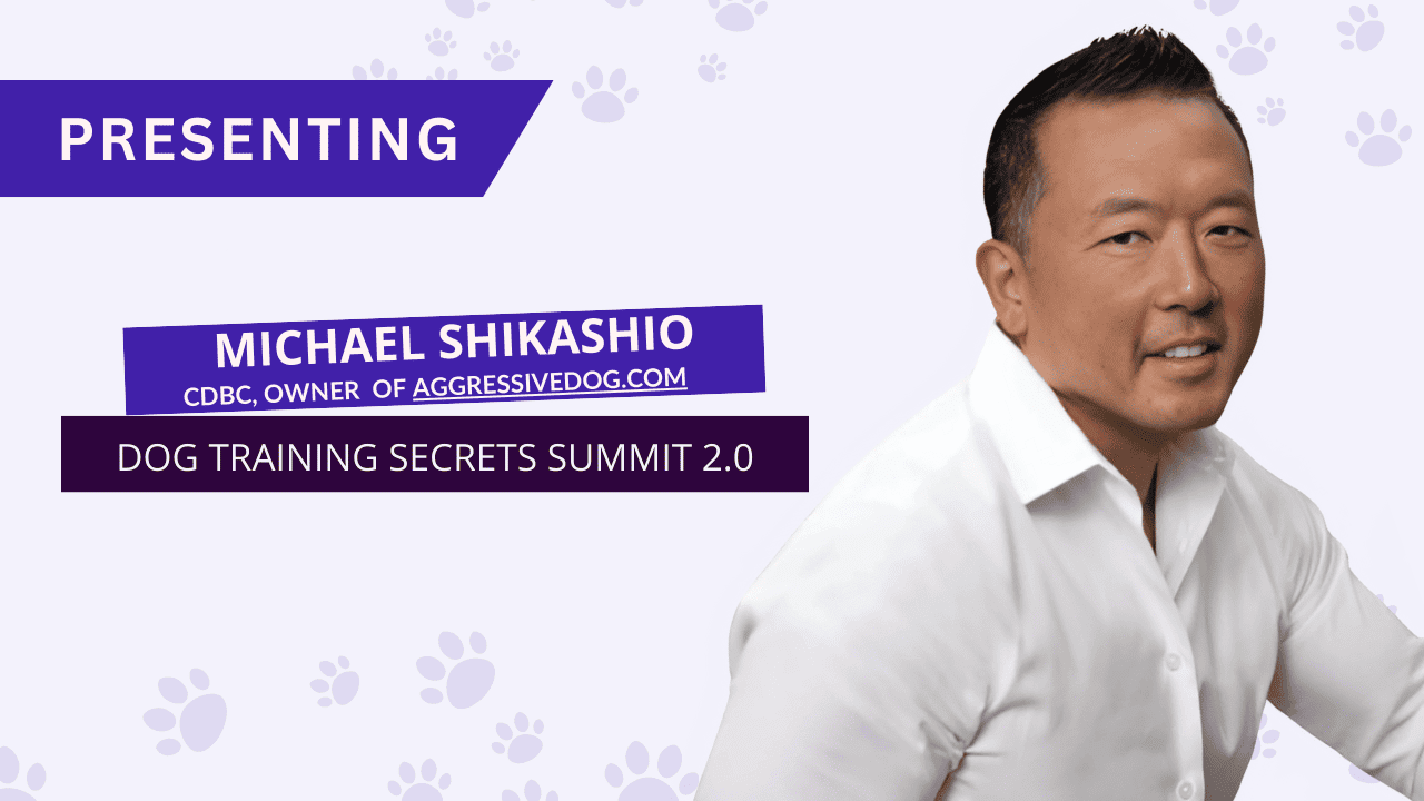 Michael-Shikashio