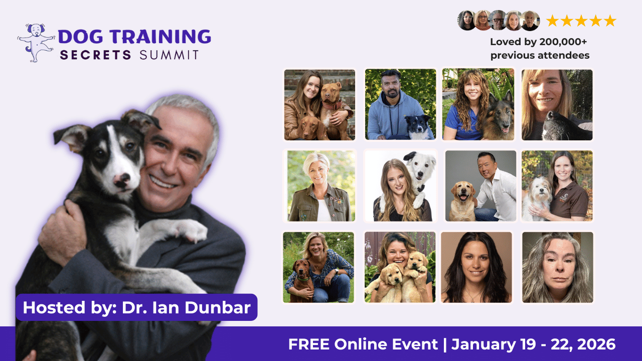 training-2026-main-img