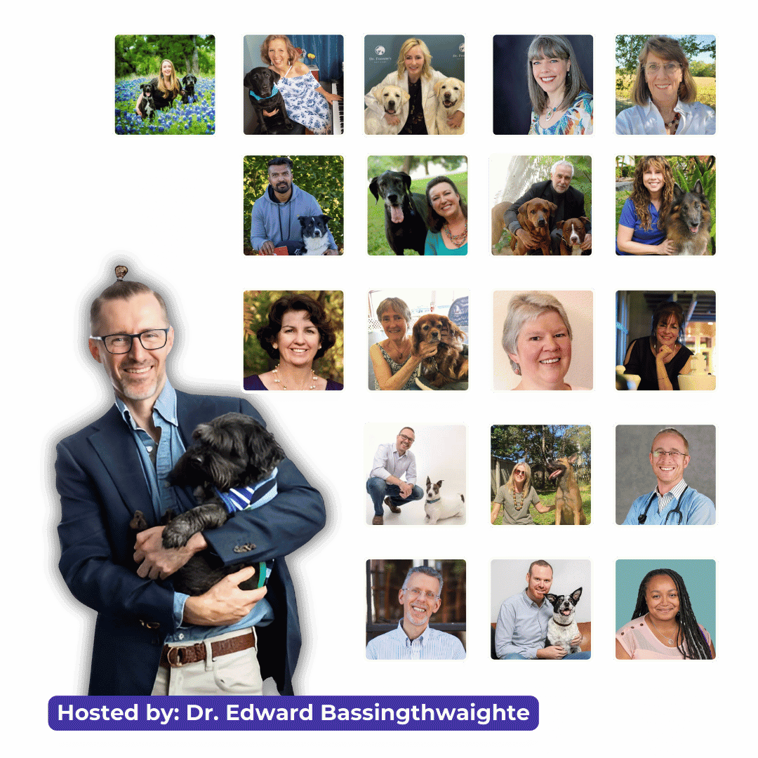 dog-anxiety-main-img