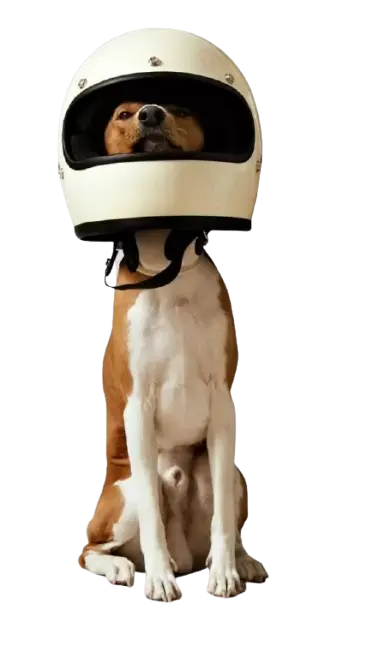 dog-helmet-min-1-removebg-preview