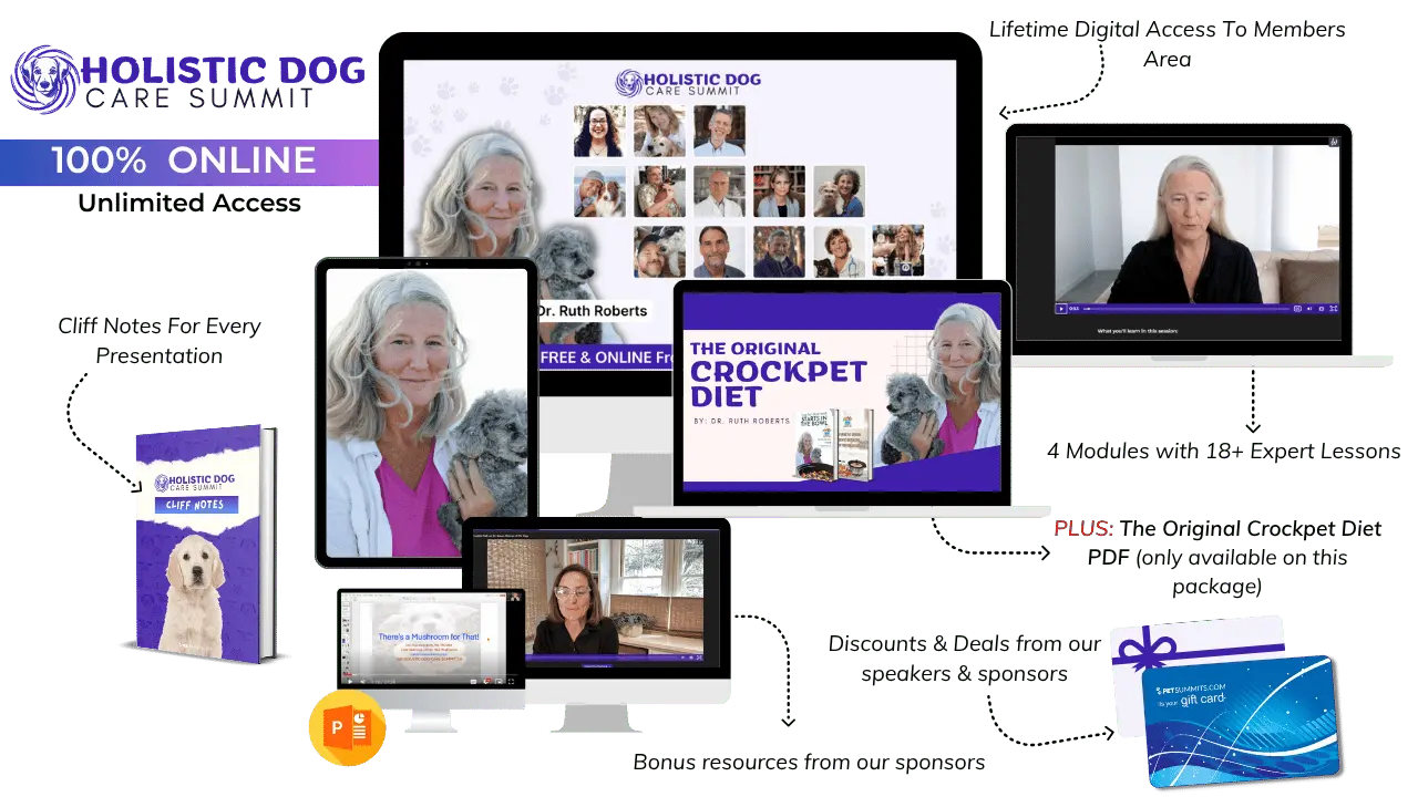 Holistic-Offer-Image-new